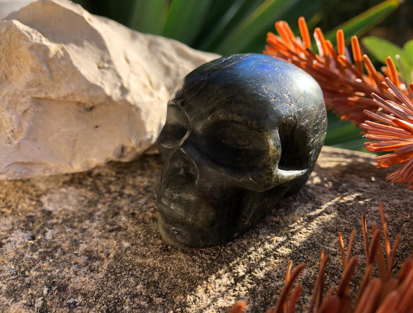 Boutique ésotérique en ligne - Figurine Crâne en Labradorite