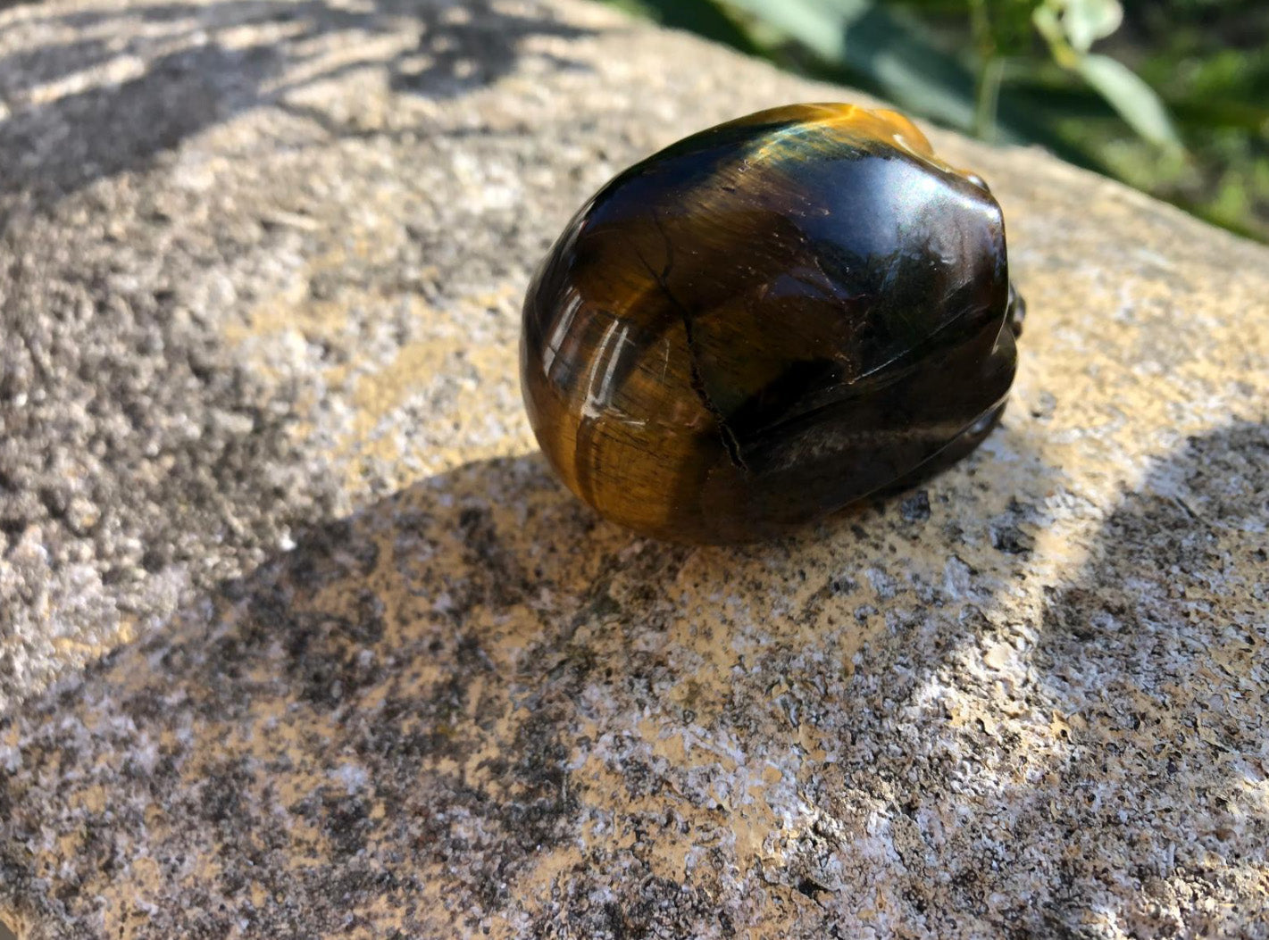 Boutique ésotérique - Figurine Crâne en Oeil de Tigre