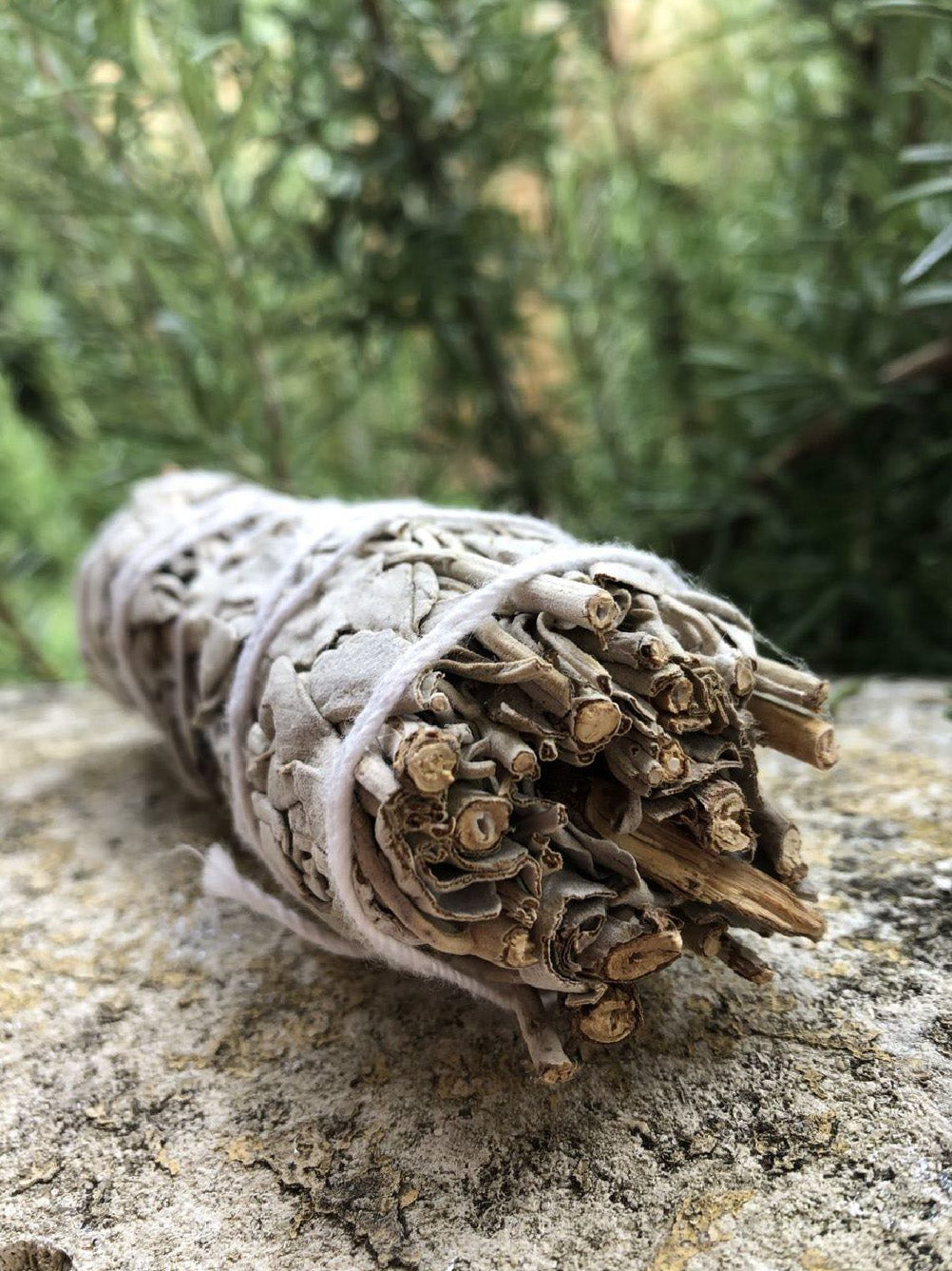 Boutique ésotérique - Bâton de Sauge Blanche Purification - SOEURS