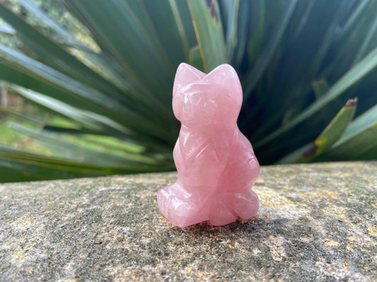 Chat en Quartz Rose