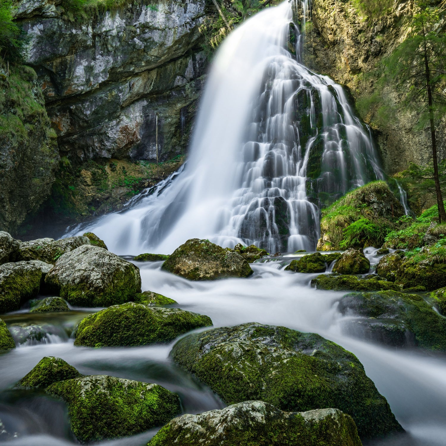 magnifique cascade dans une forêt