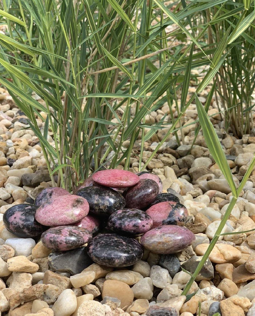 boutique esoterique - galets de rhodonite noirs et roses en pleine nature