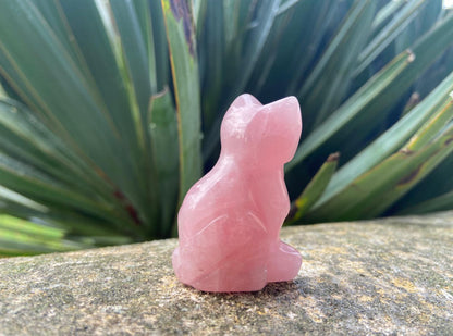 White Howlite Cat