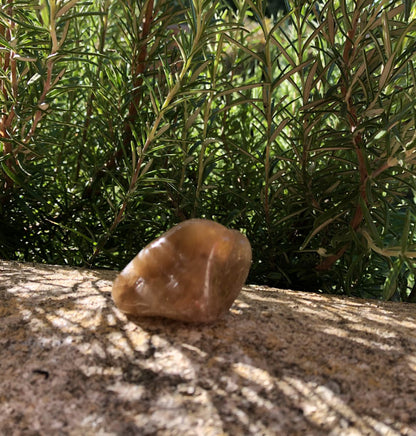 Boutique ésotérique - Lithothérapie Pierre Citrine Naturelle - SOEURS