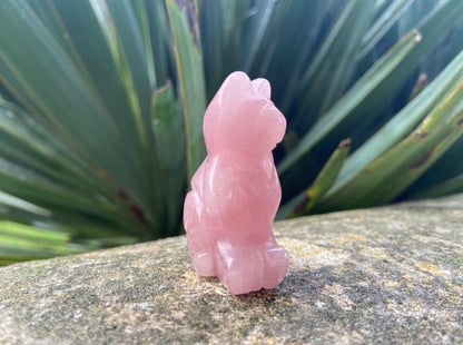 White Howlite Cat
