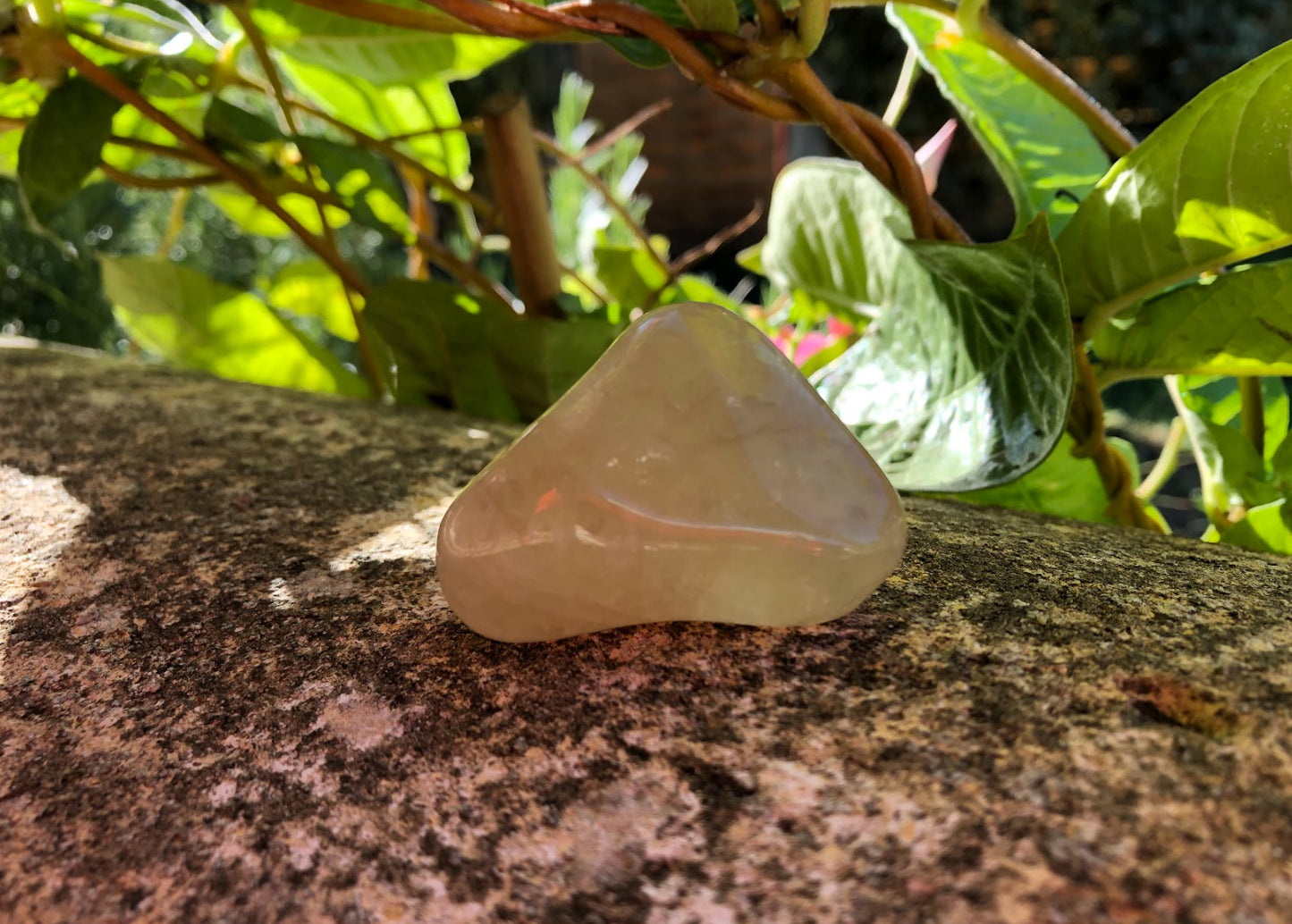 Boutique ésotérique - Lithothérapie Citrine Naturelle Pierre - SOEURS