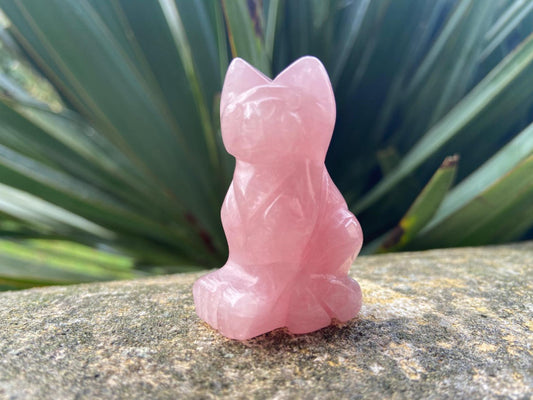 Chat en Quartz Rose