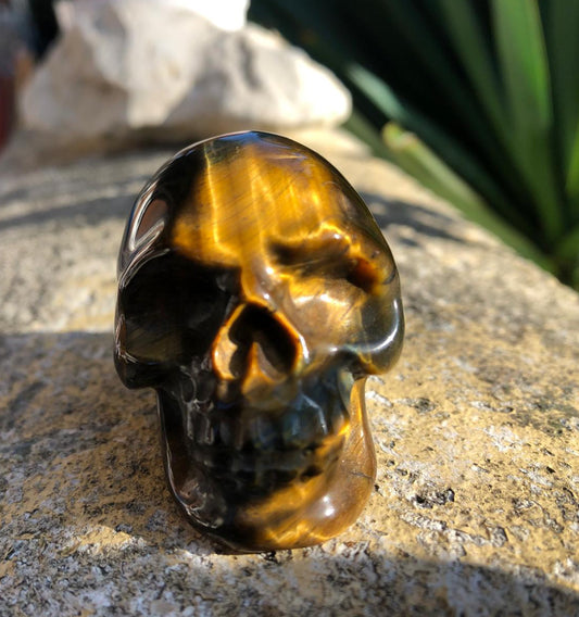Boutique ésotérique en ligne - Figurine Crâne en Oeil de Tigre