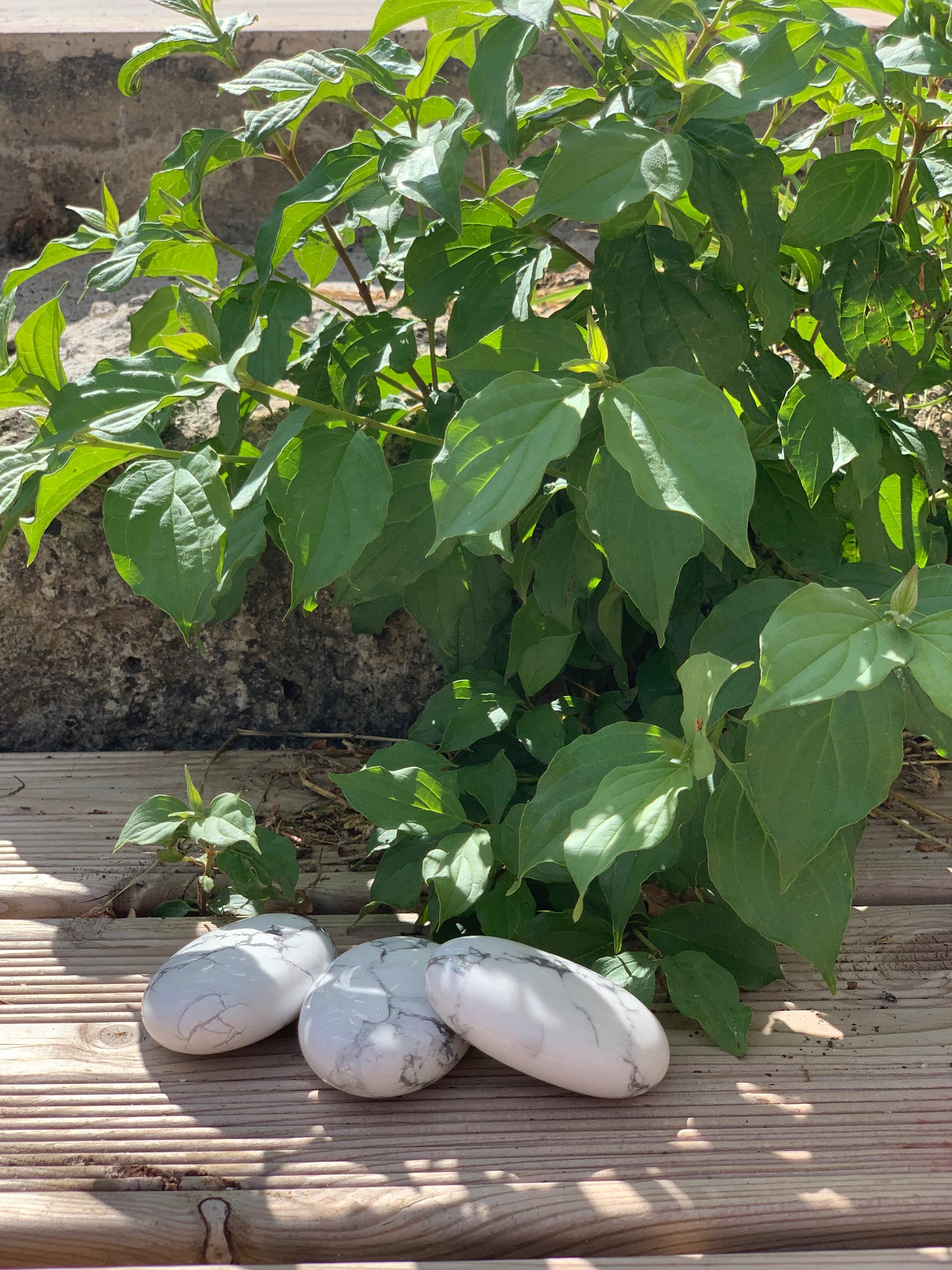 Galet 60mm Howlite Blanche