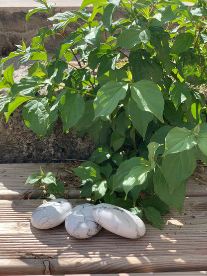 Galet 60mm Howlite Blanche