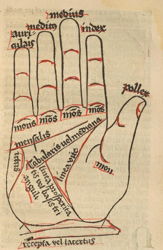 Gravure sur bois de 1490 : main vue côté paume, dont les doigts, les monts et les lignes de vie, de cœur et de tête portent leur nom latin.